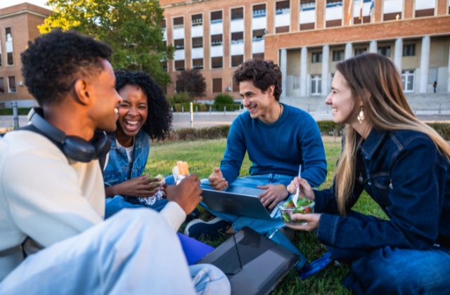 Critical research proposal analysis and argument coaching